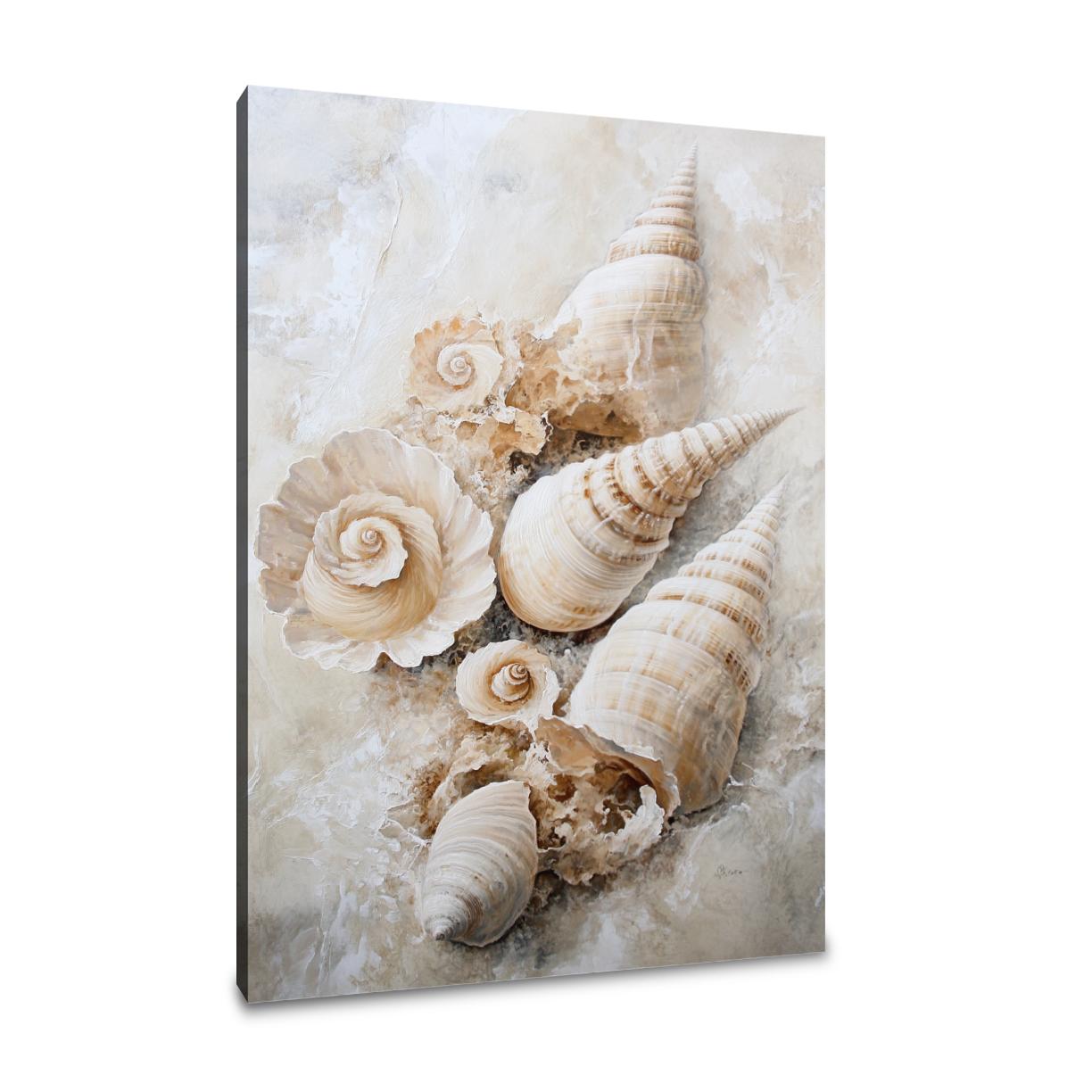 Shell Spiral Elegance Canvas