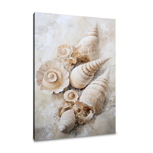 Shell Spiral Elegance Canvas