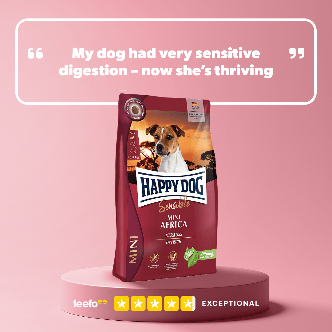 Happy Dog Mini Africa