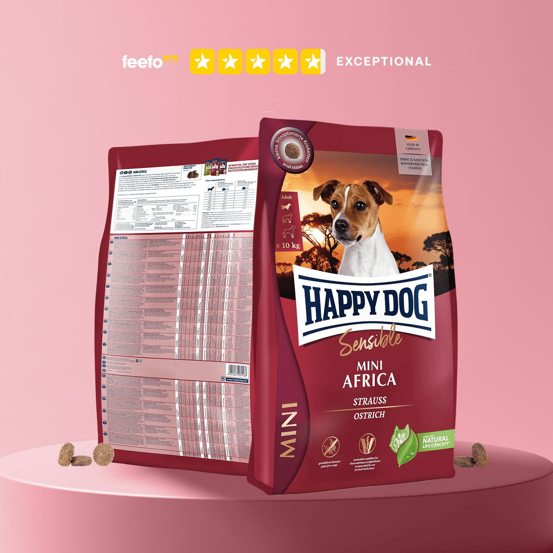 Happy Dog Mini Africa