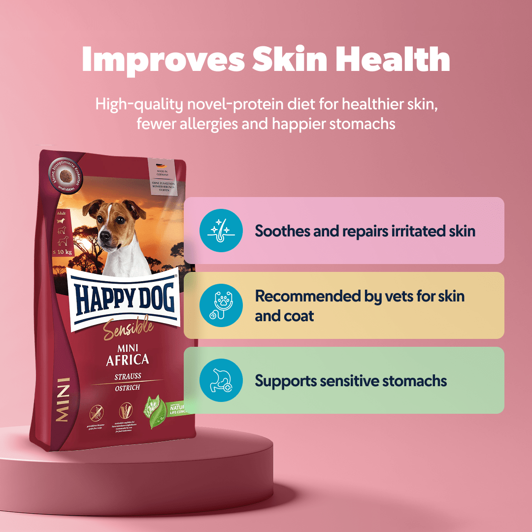 Happy Dog Mini Africa