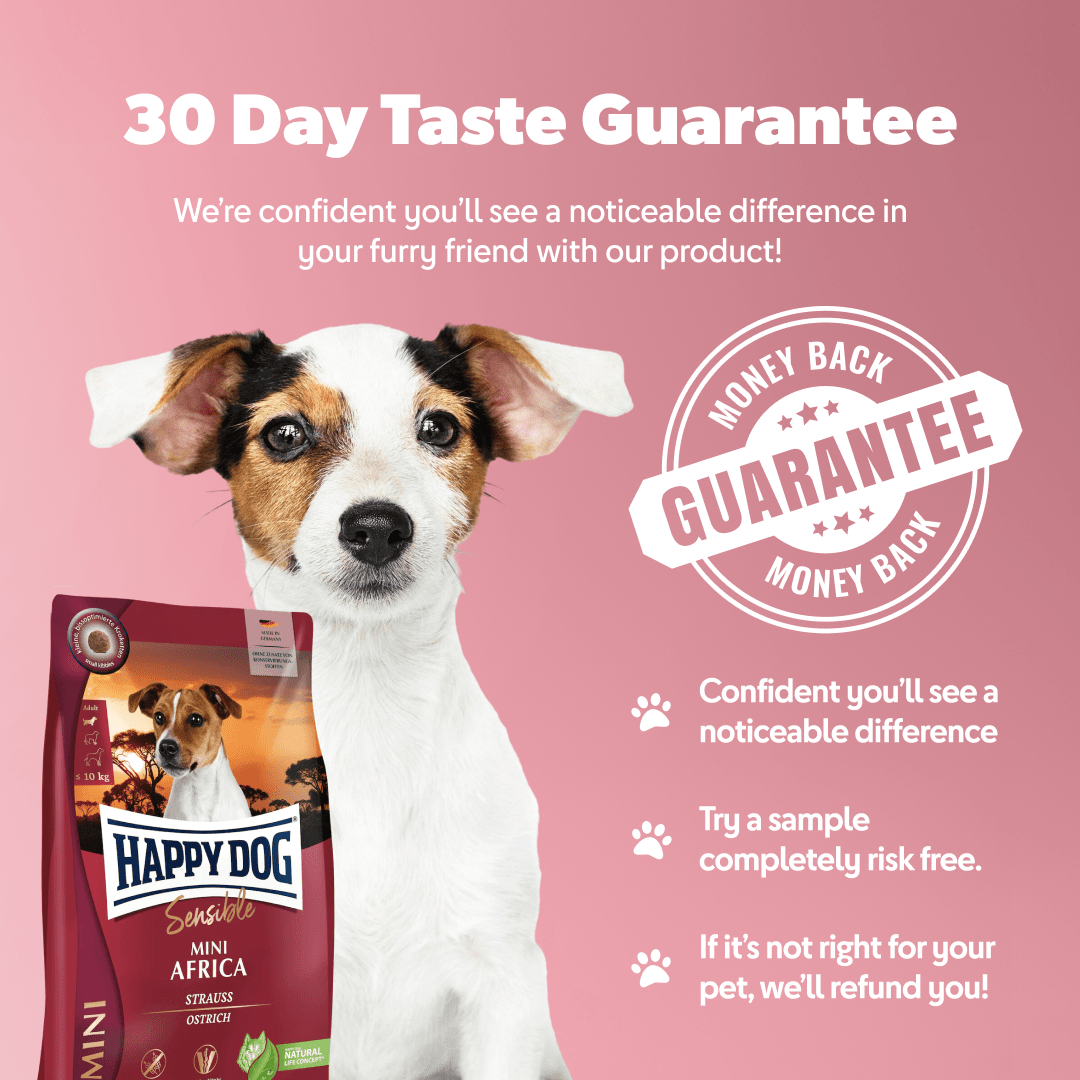 Happy Dog Mini Africa