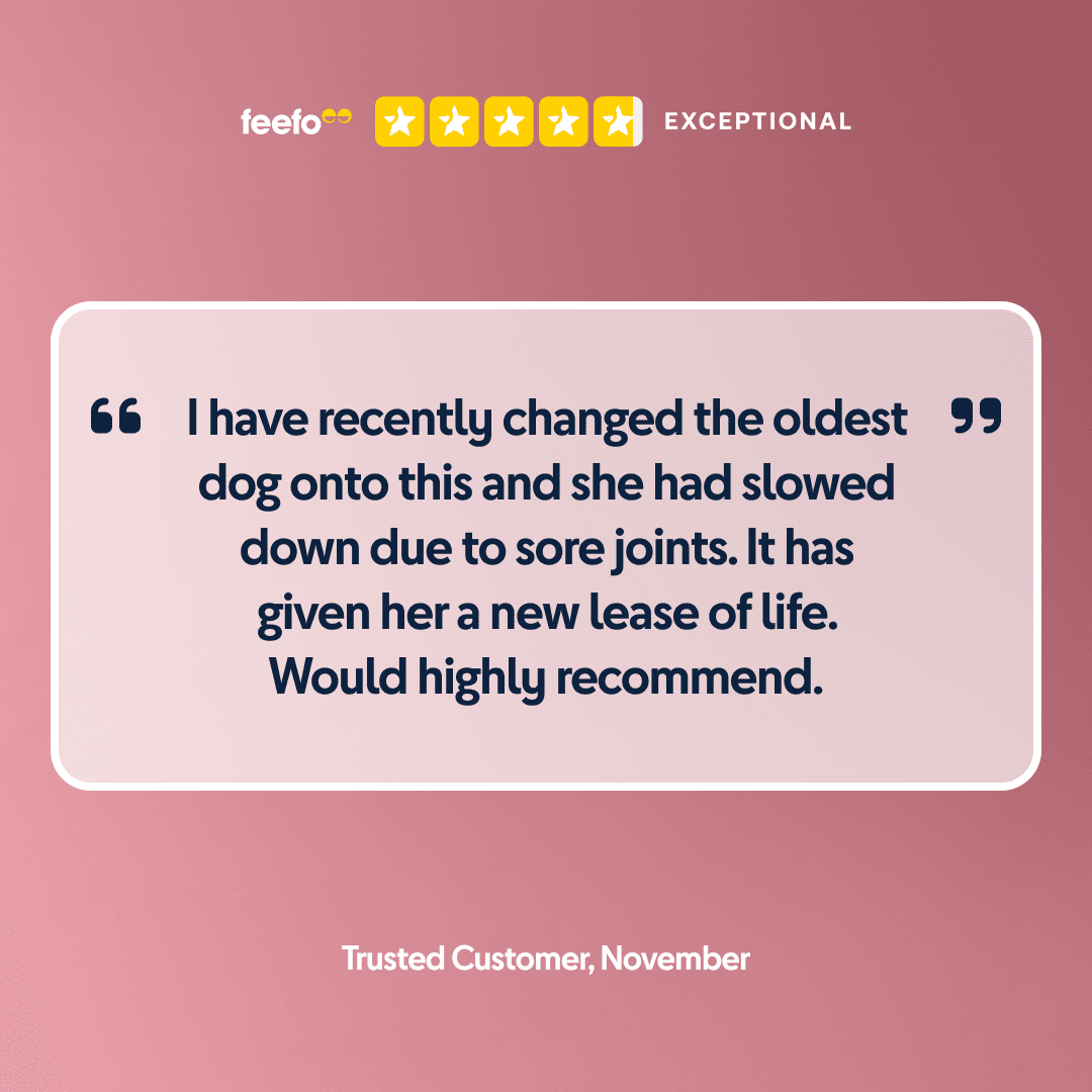 Happy Dog Mini Africa