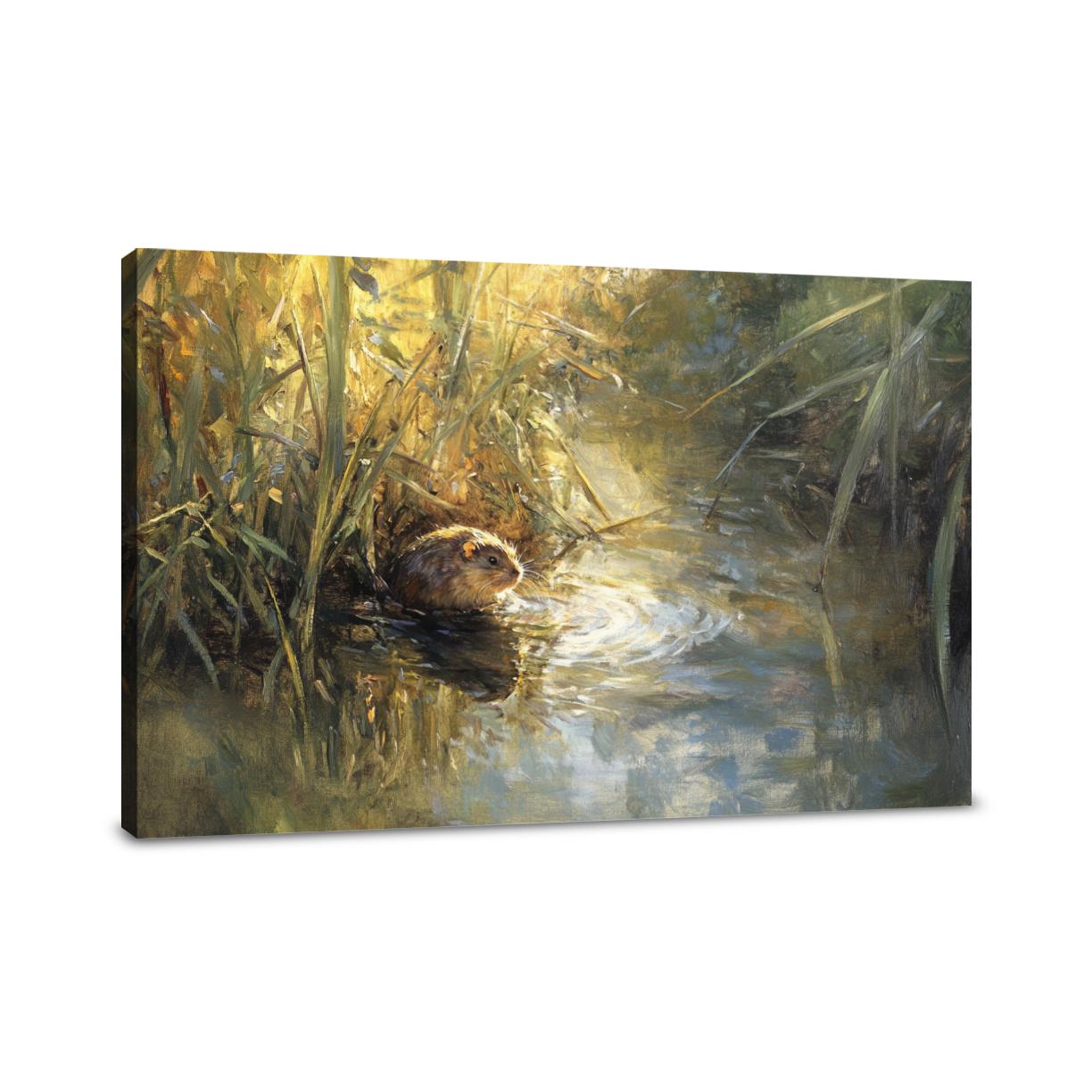 Water Vole Reverie Canvas
