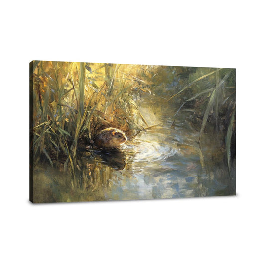 Water Vole Reverie Canvas