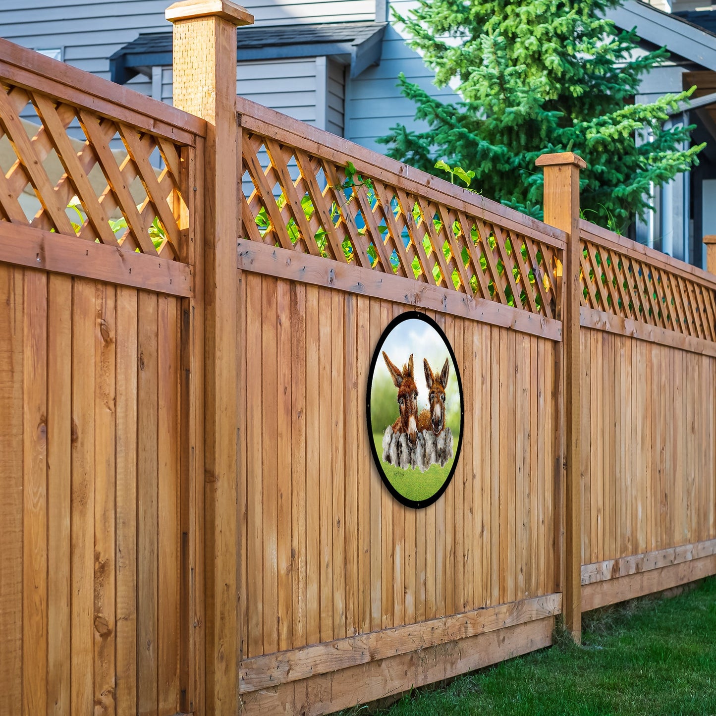 SunCatcher Garden Mirror Barney and Fred, Loveable Donkeys by Bree Merryn