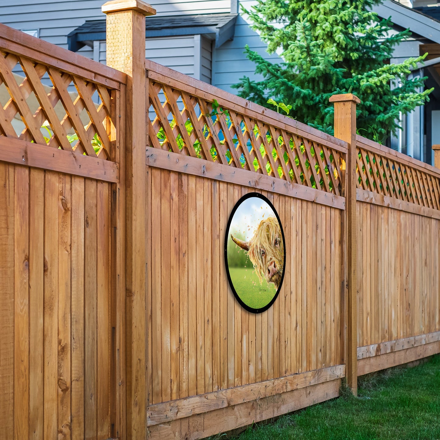 SunCatcher Garden Mirror Brody, Highland Cow Illustrations by Bree Merryn
