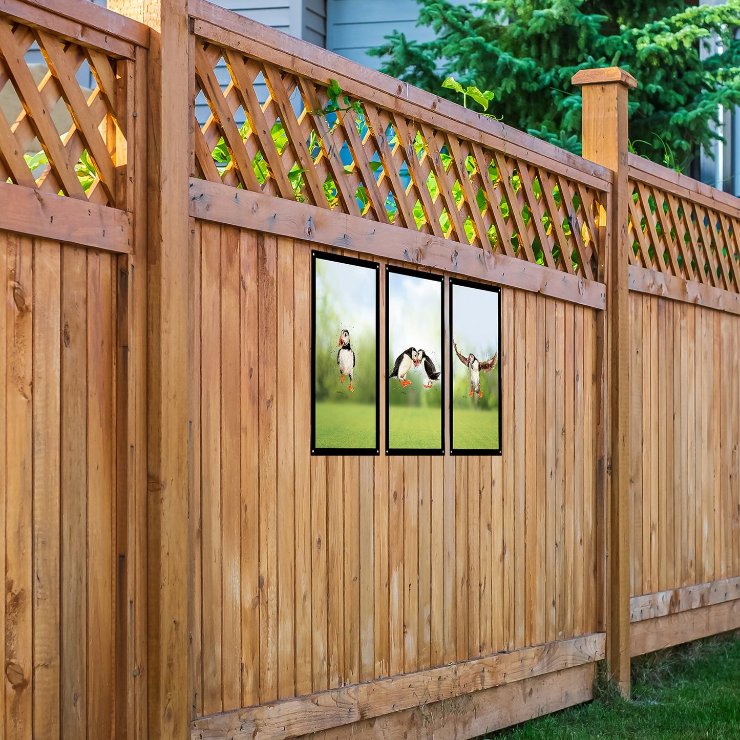 SunCatcher Garden Mirror Set 3 Puffin Parade Illustrations by Bree Merryn