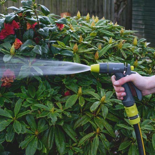Hose Gun Water Sprayer Adjustable, Lime
