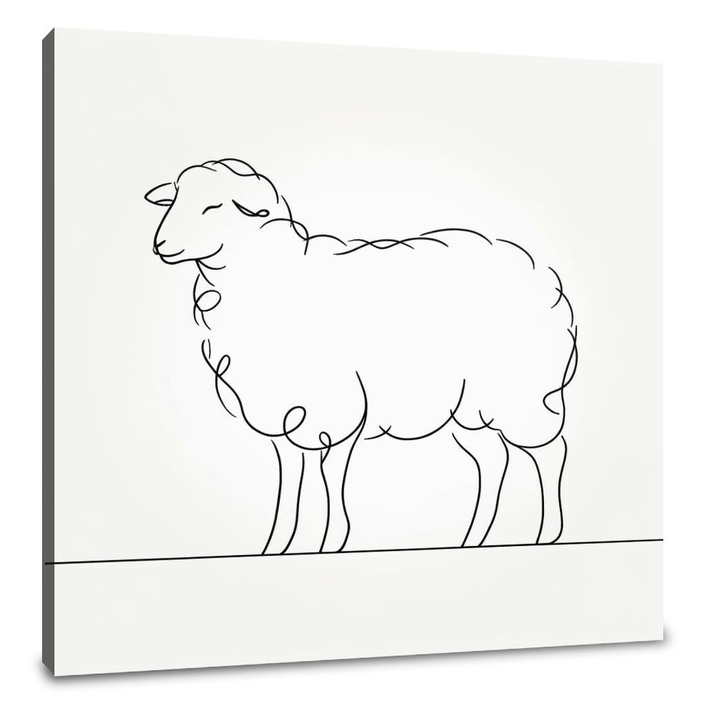 Essence of Sheep Canvas