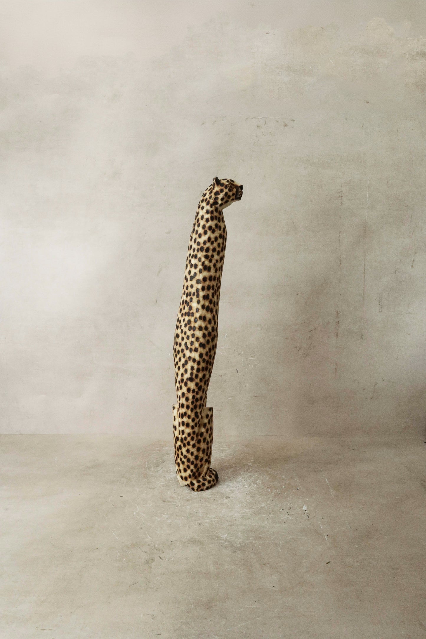 Swazi Cheetah - 37.1