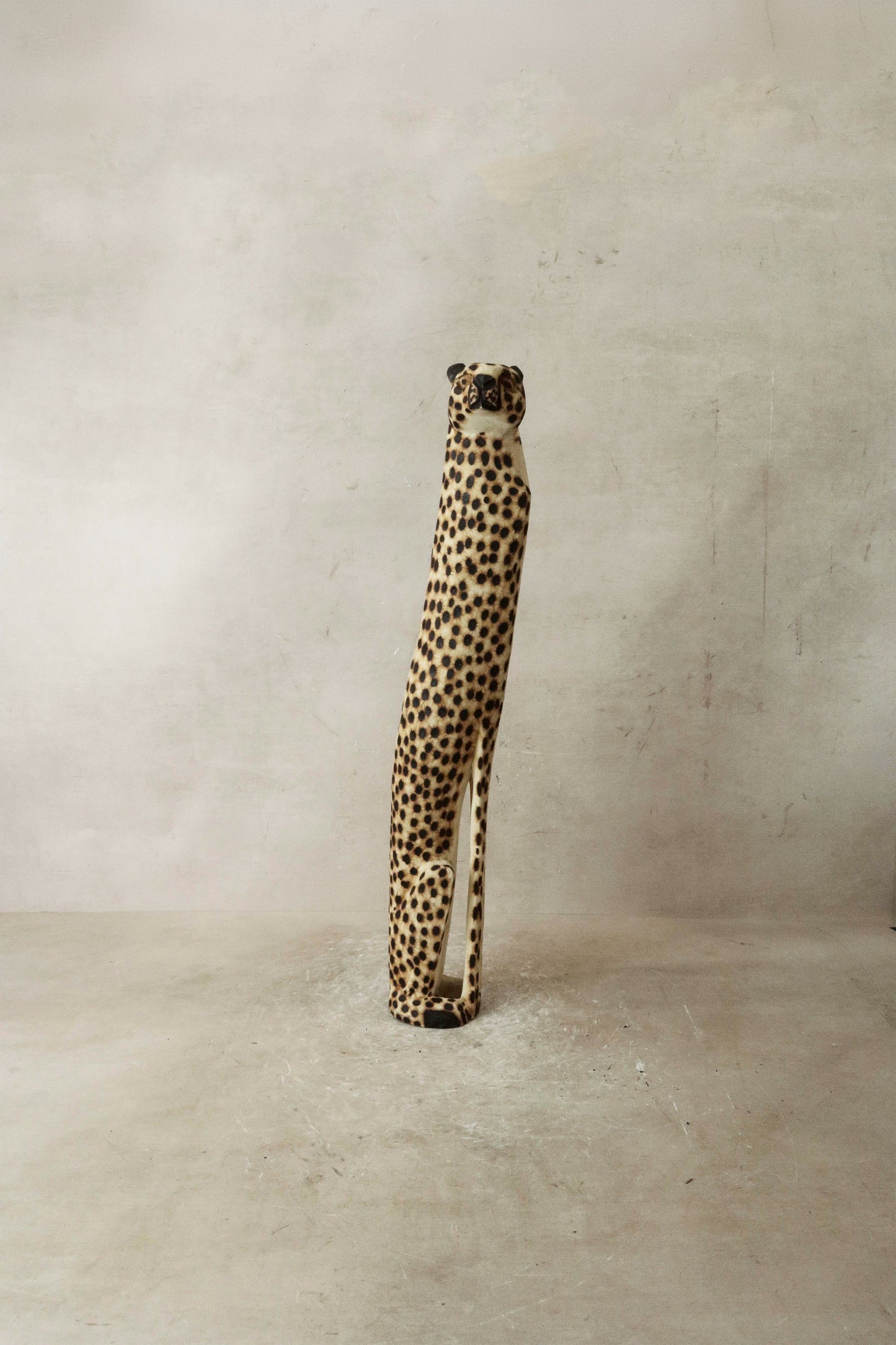 Swazi Cheetah - 37.1