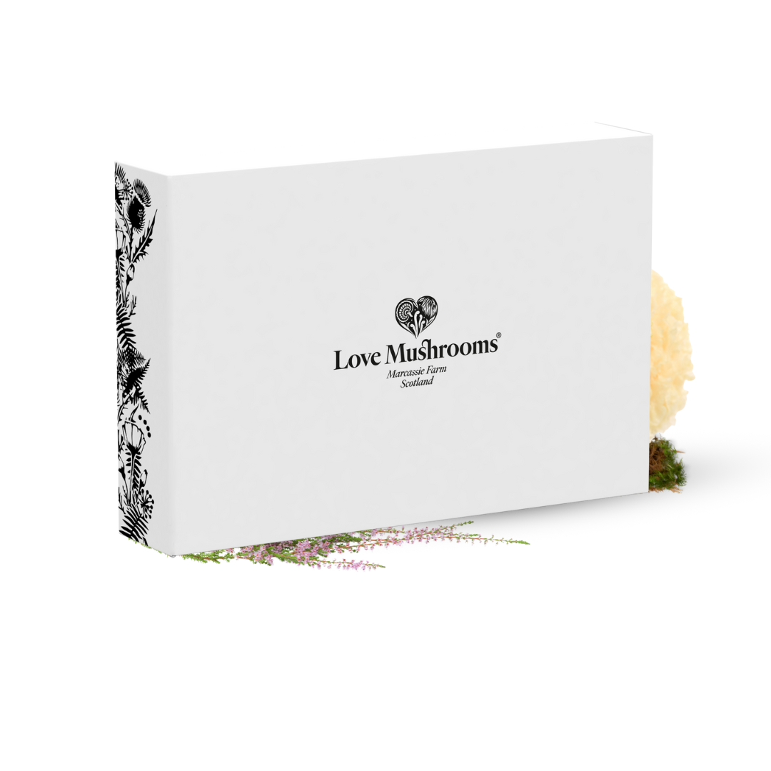The Love Mushrooms Ultimate Ritual Set