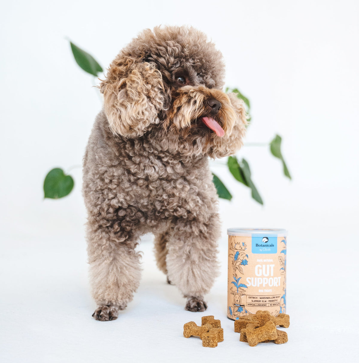 Gut Support Dog Treats