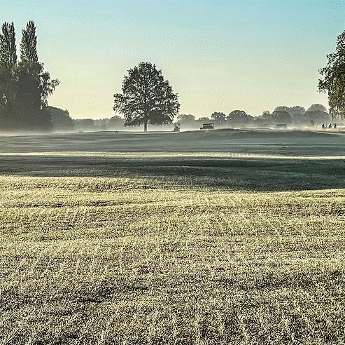 HF.2 Ryegrass Fairway Overseeder Grass Seed Mix (HF2)