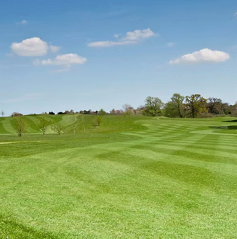 HF.3 Eco Fairway Overseeder Grass Seed Mix
