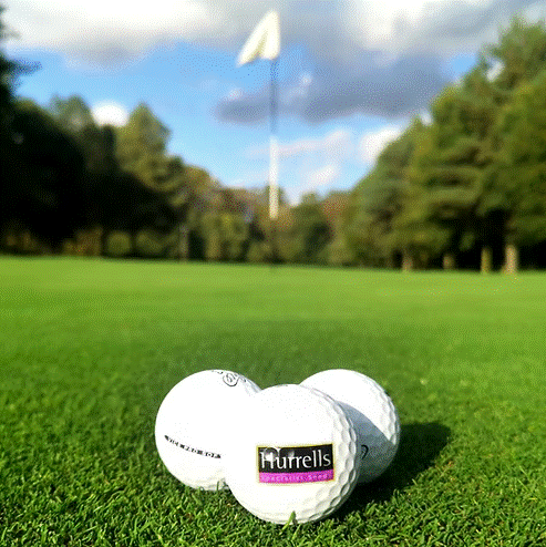 HG.1 Premium All Bent Greens Grass Seed Mix (HG1)