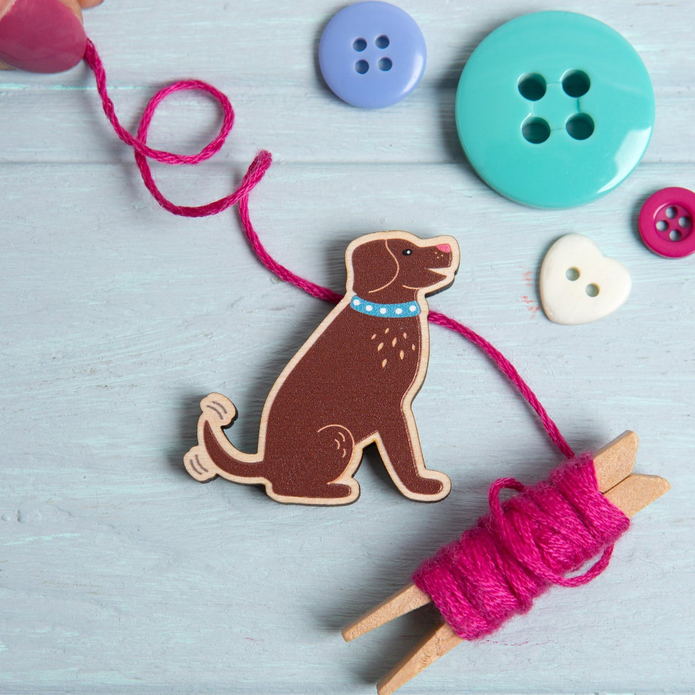 Dog Magnetic Needle Minder