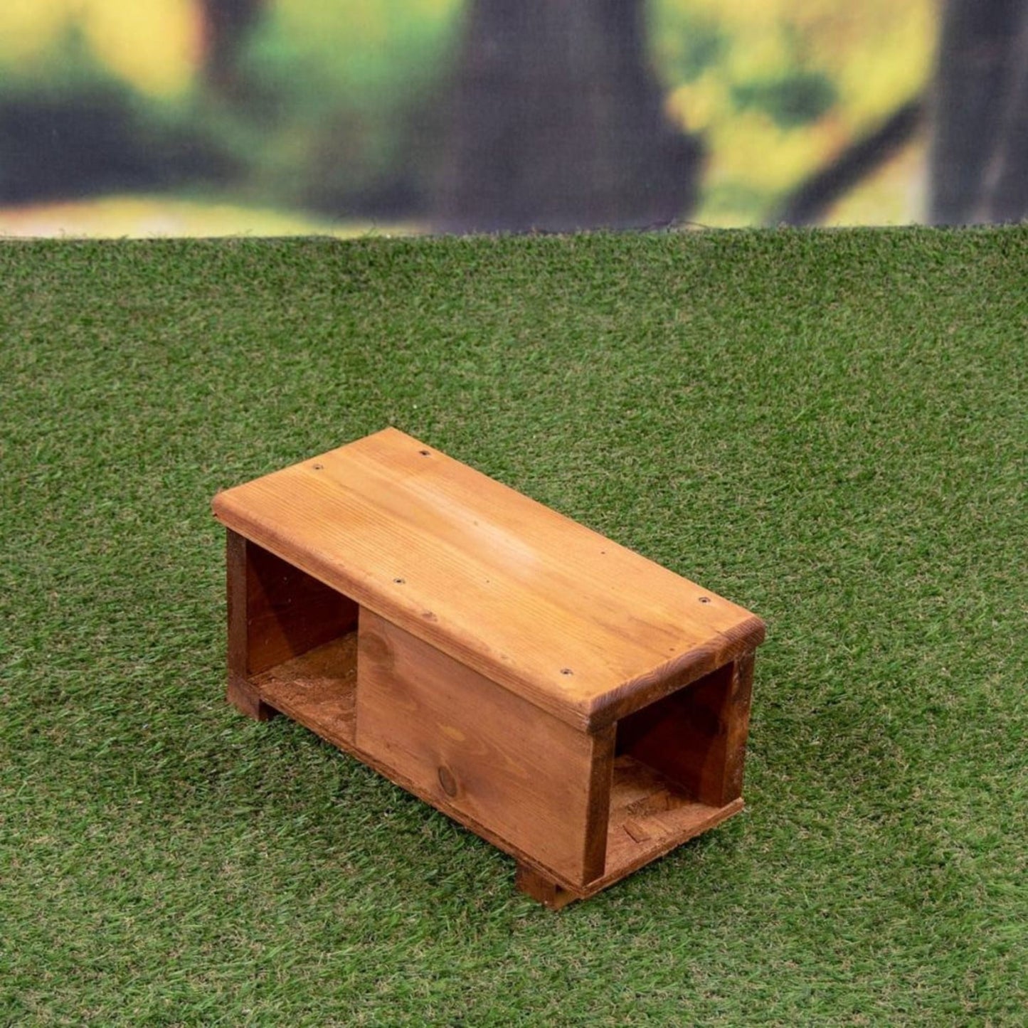 Hedgehog House Tunnel