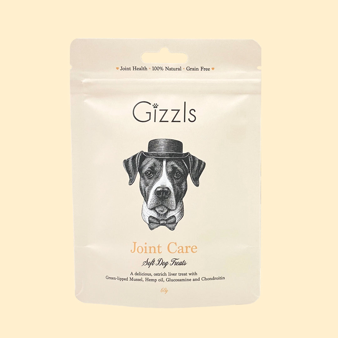 Joint Care Soft Dog Treats