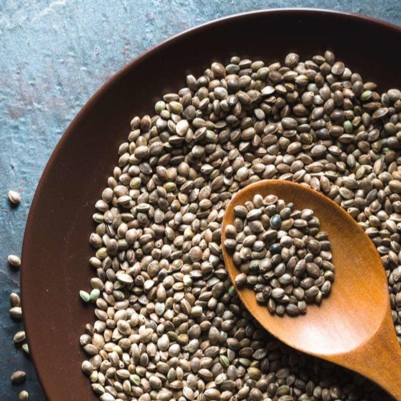 Hemp Seed Oil Lotion Bar – Soothing Solid Moisturiser for Dry or Irritated Skin