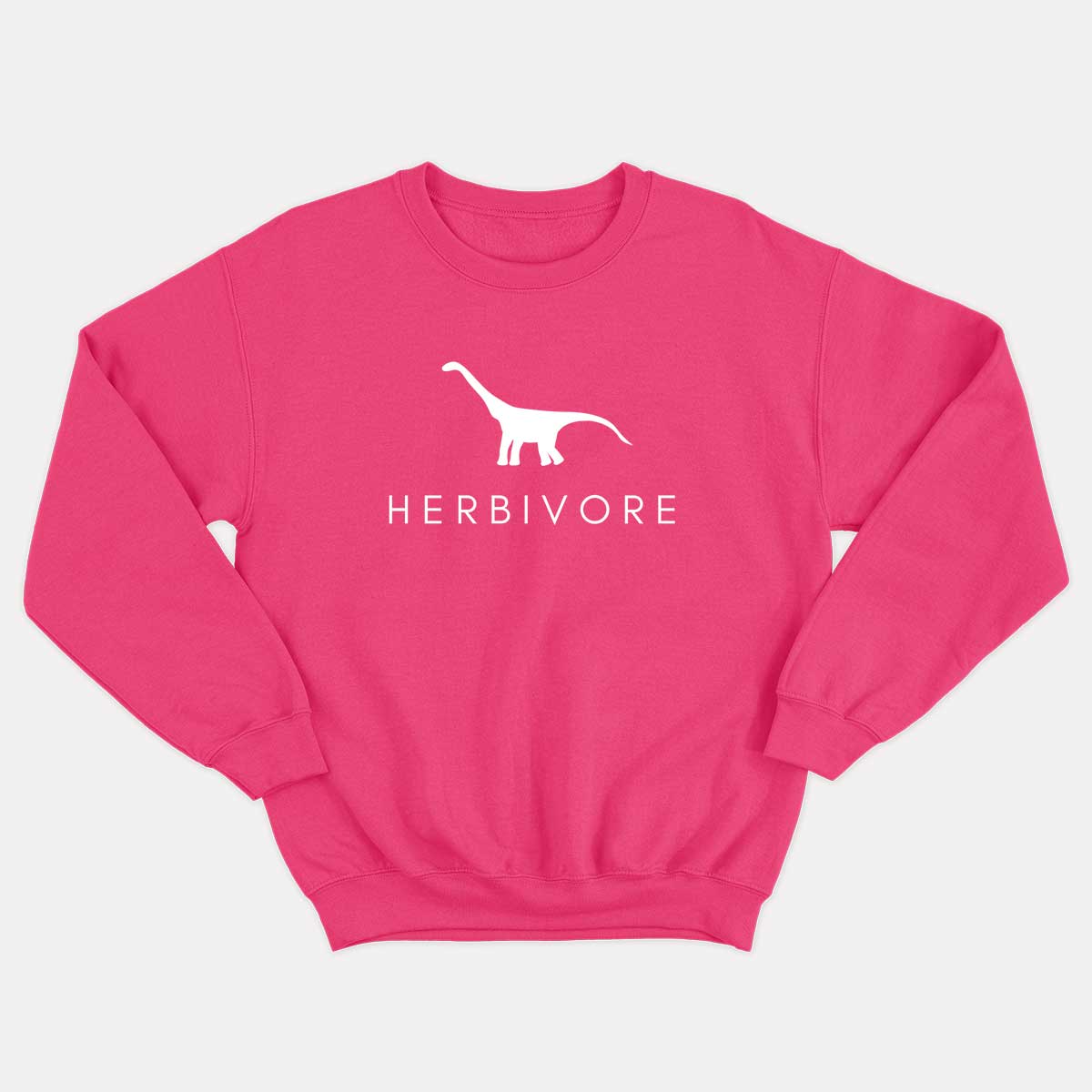 Herbivore Dinosaur Kids Sweatshirt (Unisex)
