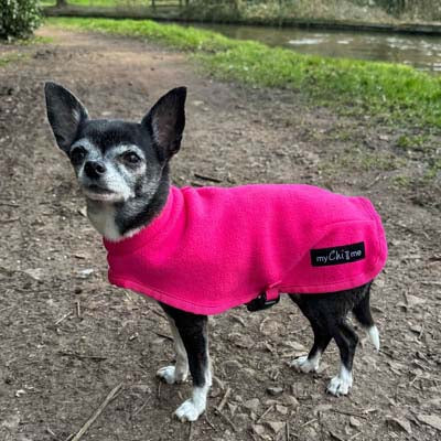 Tiny Toastie Water Repellent Fleece Dog Coat by My Chi and Me Hot Pink