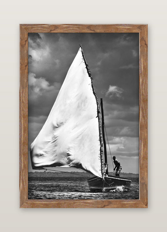 David Ballam - Ilha 04