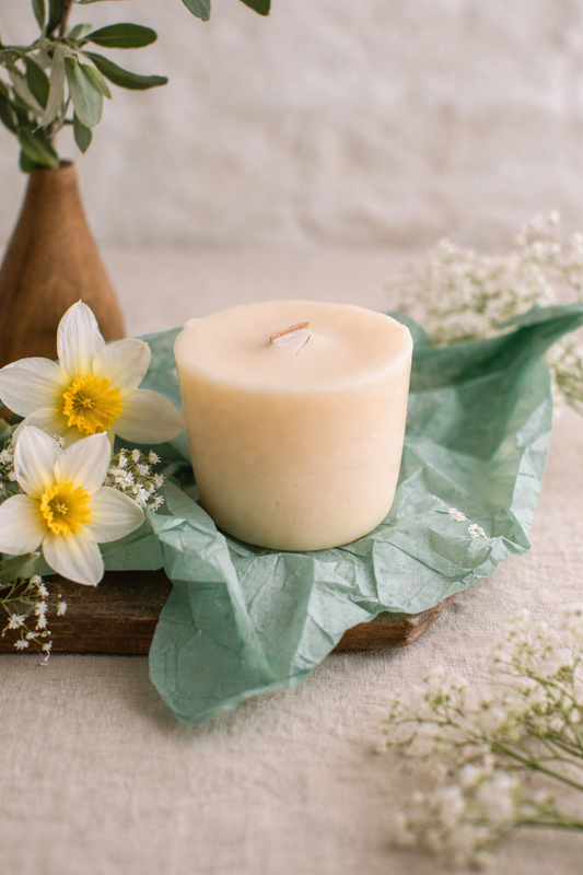 Refill Candle: Dancing with the Daffodils - Daffodil, Rosewood, Green Stems