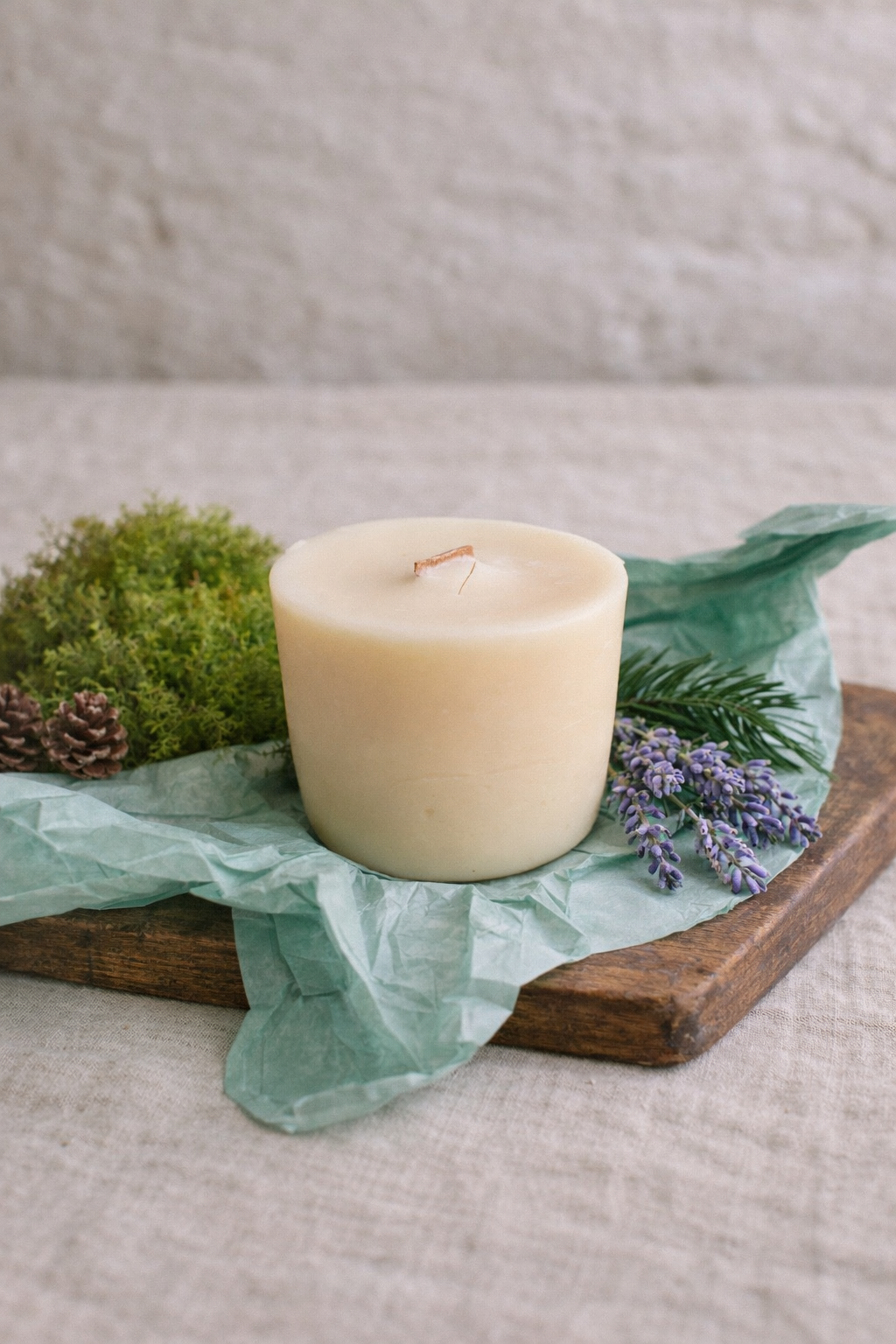 Refill Candle: Forest Ritual - Cedarwood, Frankincense, Lavender (Calm)