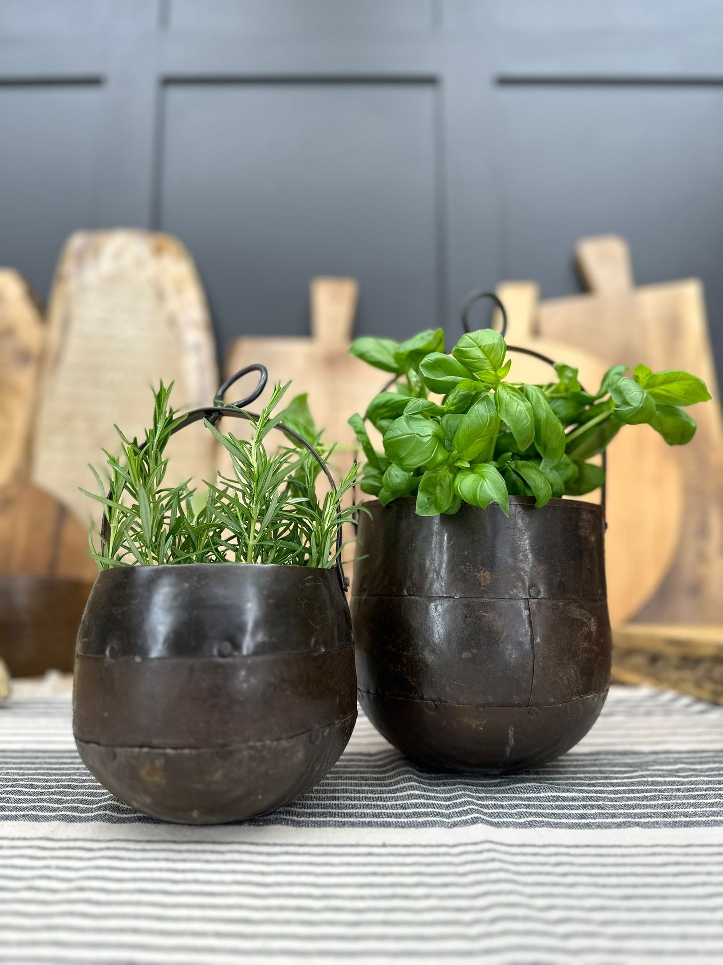Pair Of Iron Hanging Plant Pot Planter / Herb Pot / Rustic Decor