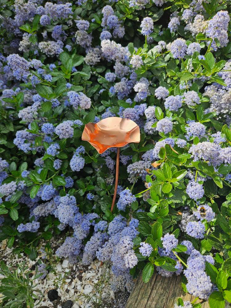 3 x Copper Bee Drinker Bundle