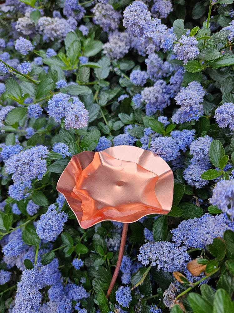 3 x Copper Bee Drinker Bundle