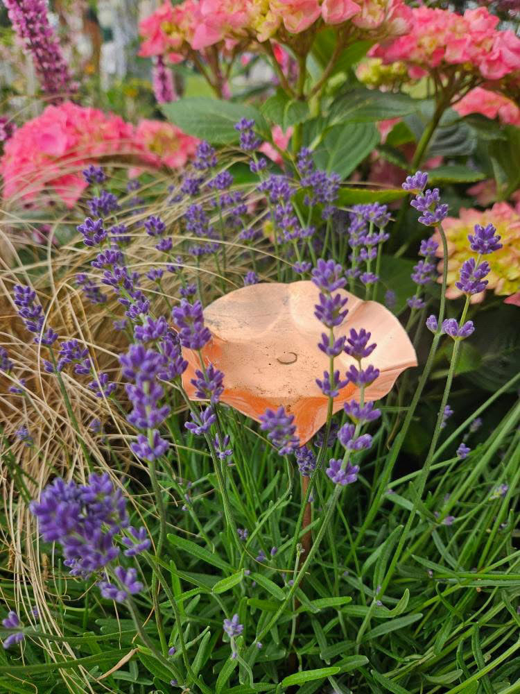 3 x Copper Bee Drinker Bundle