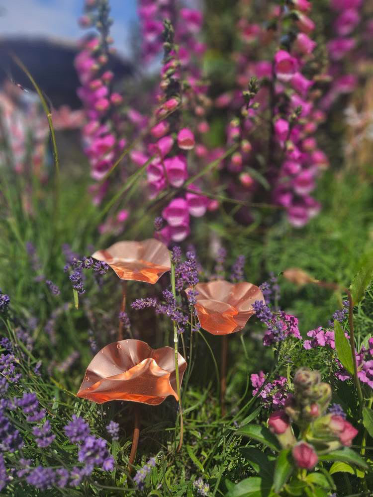 3 x Copper Bee Drinker Bundle