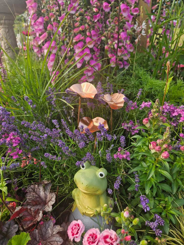 5 x Copper Bee Drinker Bundle