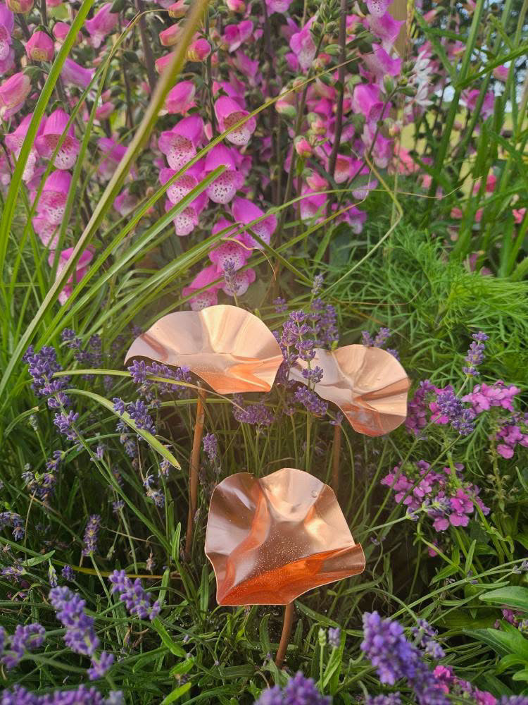 3 x Copper Bee Drinker Bundle