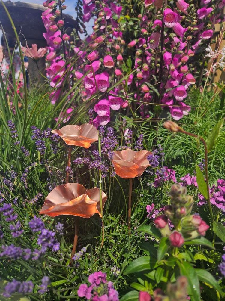 3 x Copper Bee Drinker Bundle