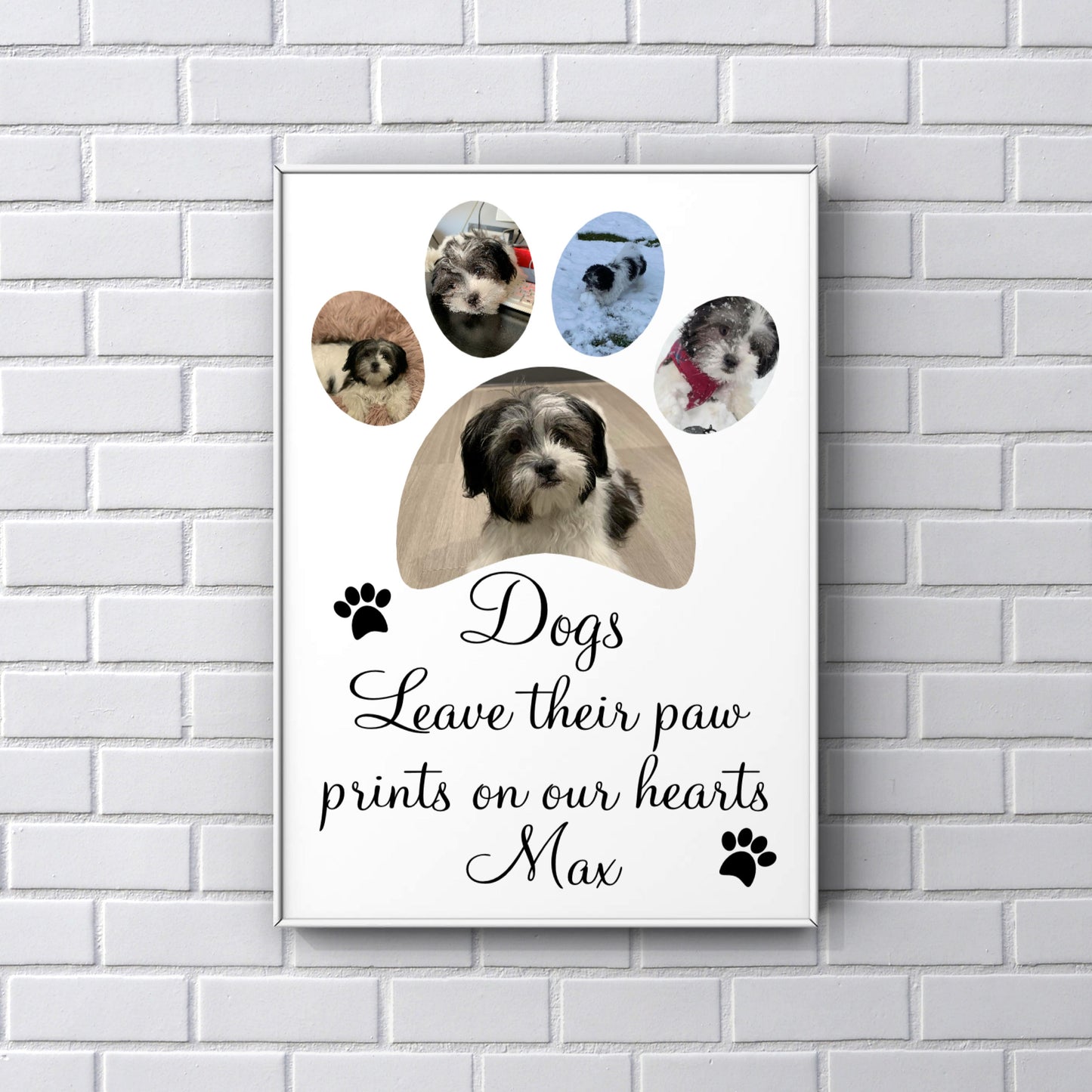 Pet print 'dogs leave their paw prints on our hearts’