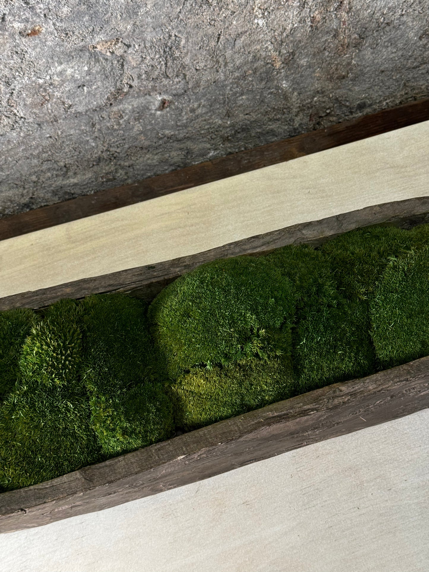 Mokoro Canoe with Preserved Moss Table Display FR56