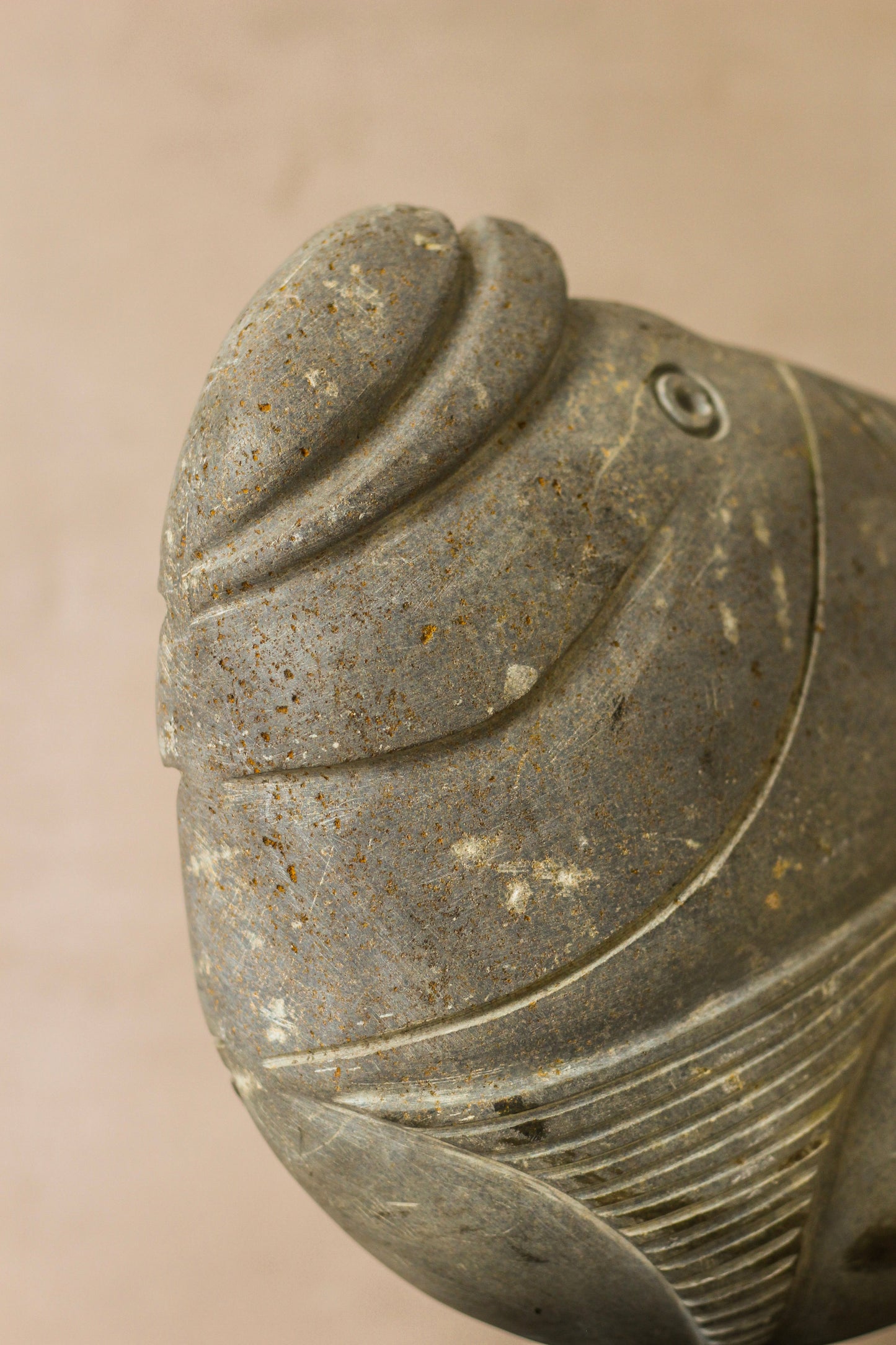 Stone Fish Sculpture - Zimbabwe - 98.2