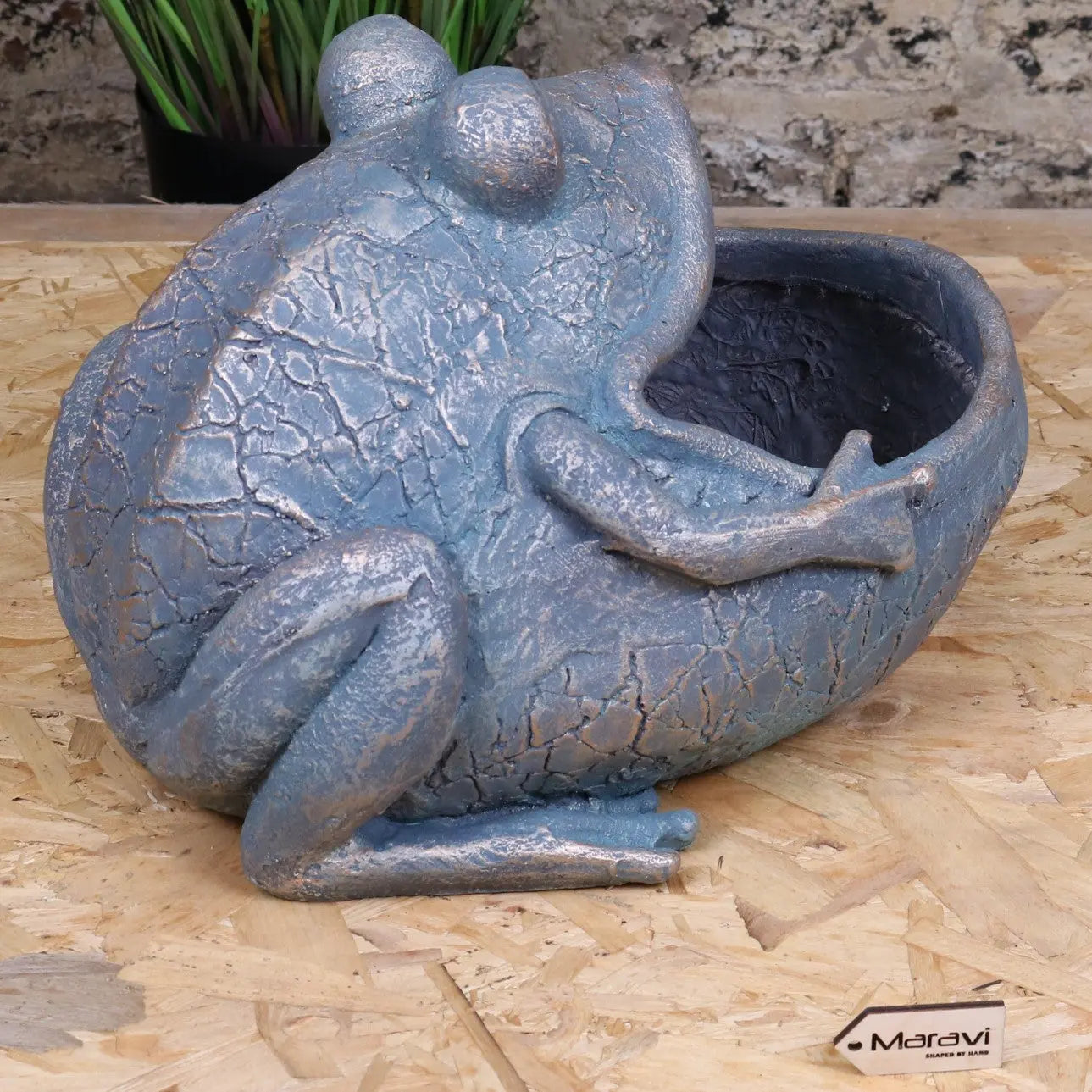 Bari Frog Planter