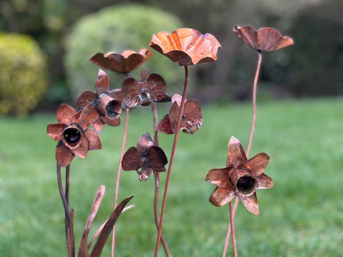 3 x Copper Bee Drinker Bundle