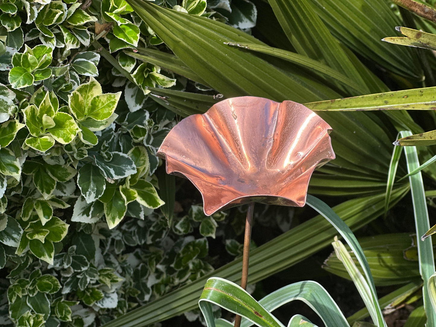 5 x Copper Bee Drinker Bundle