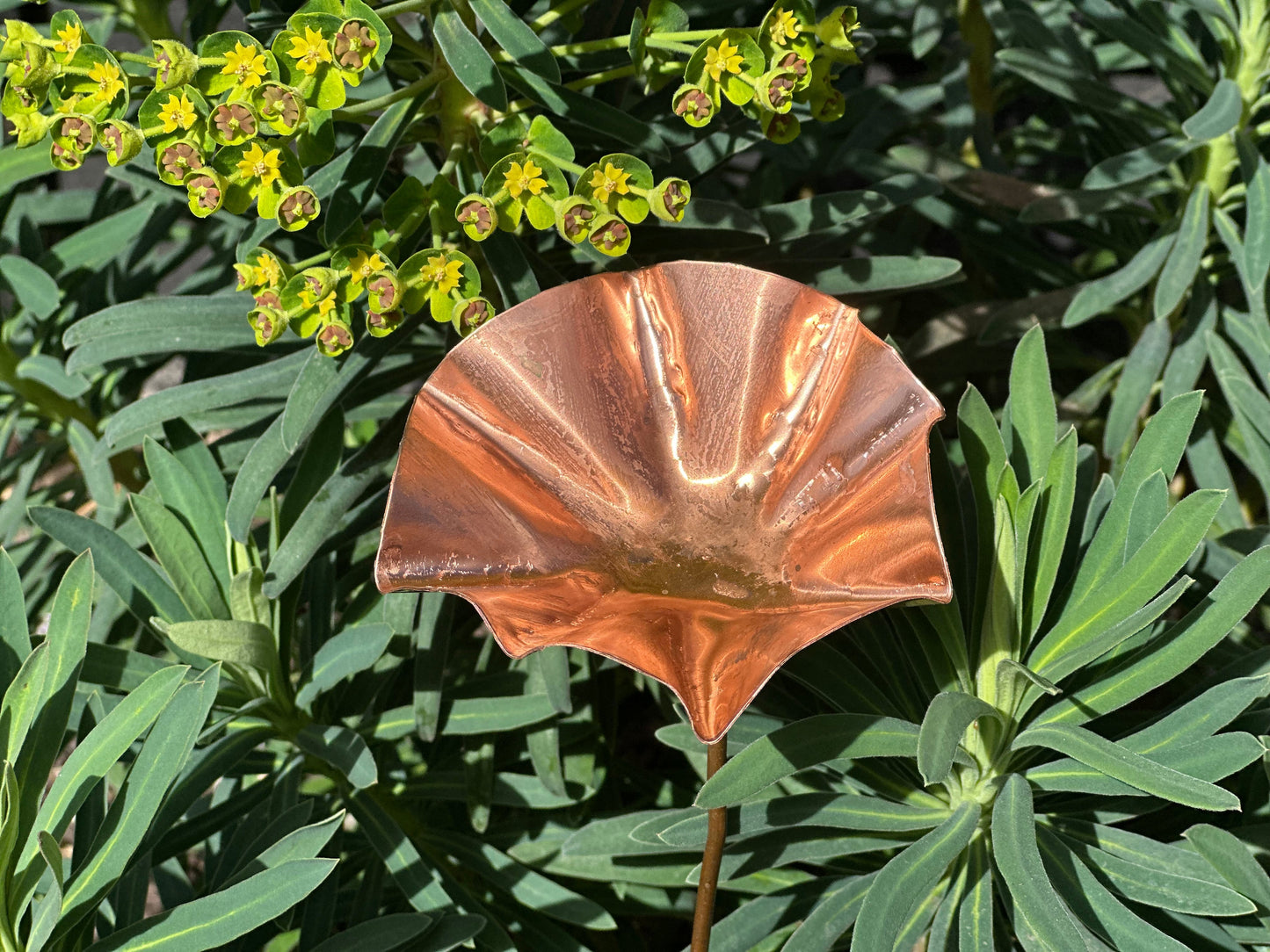 3 x Copper Bee Drinker Bundle