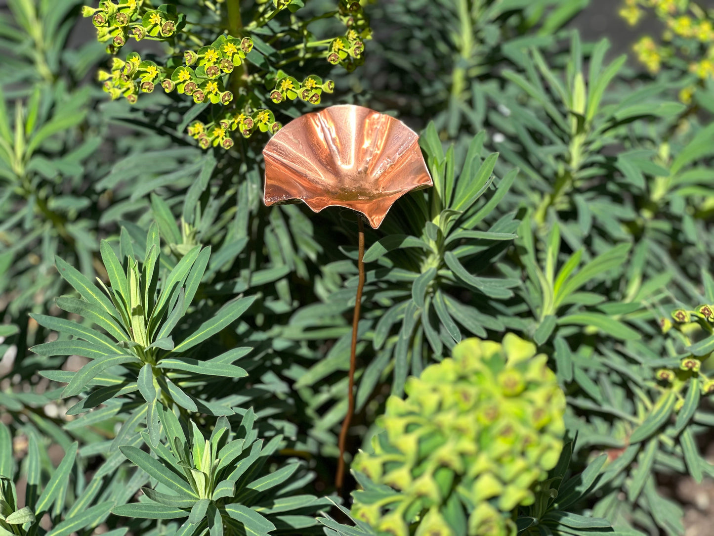 3 x Copper Bee Drinker Bundle