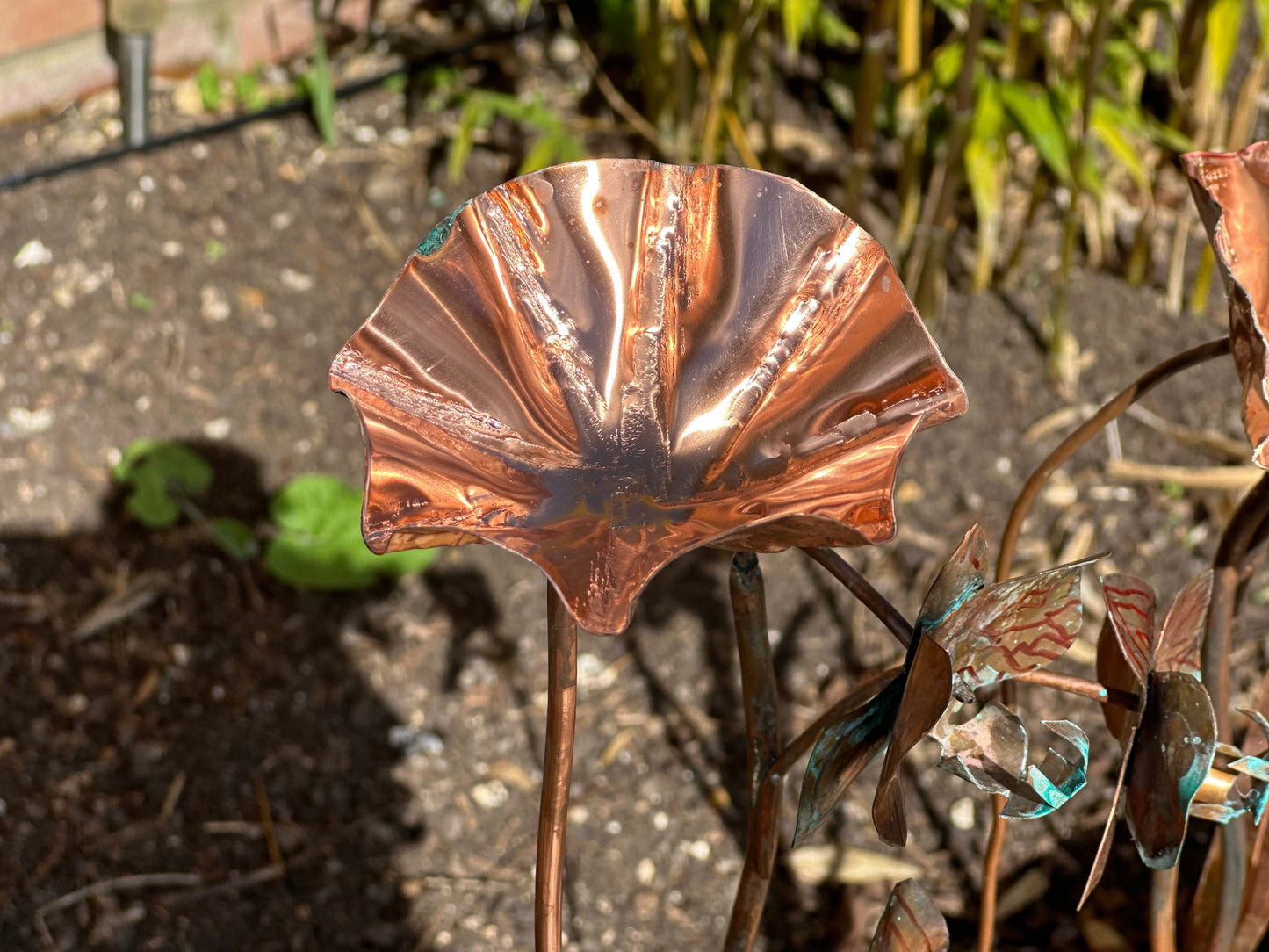 5 x Copper Bee Drinker Bundle