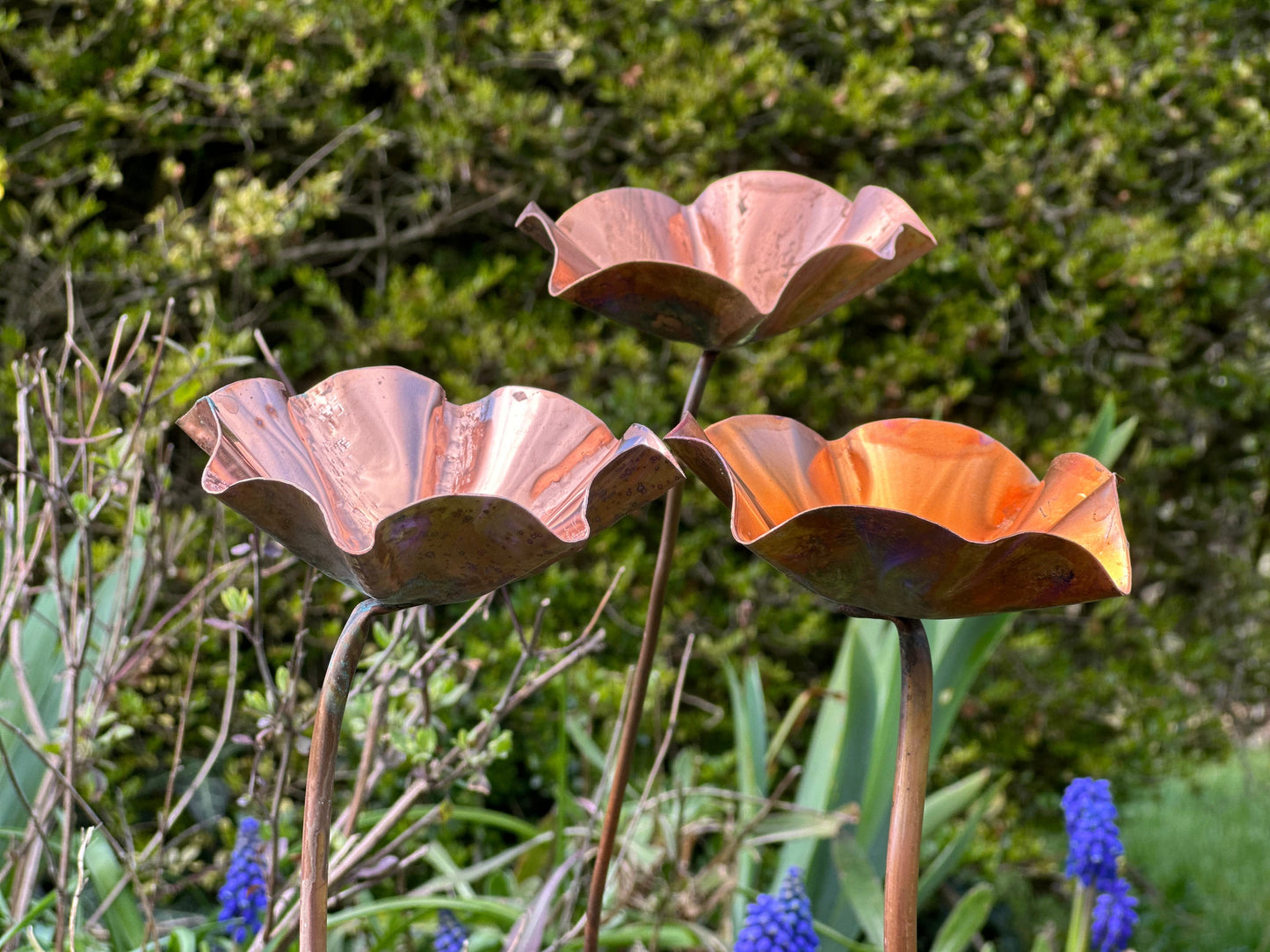 3 x Copper Bee Drinker Bundle