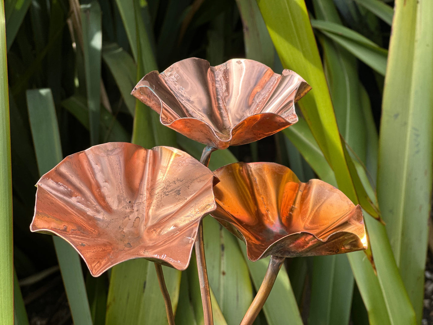 3 x Copper Bee Drinker Bundle