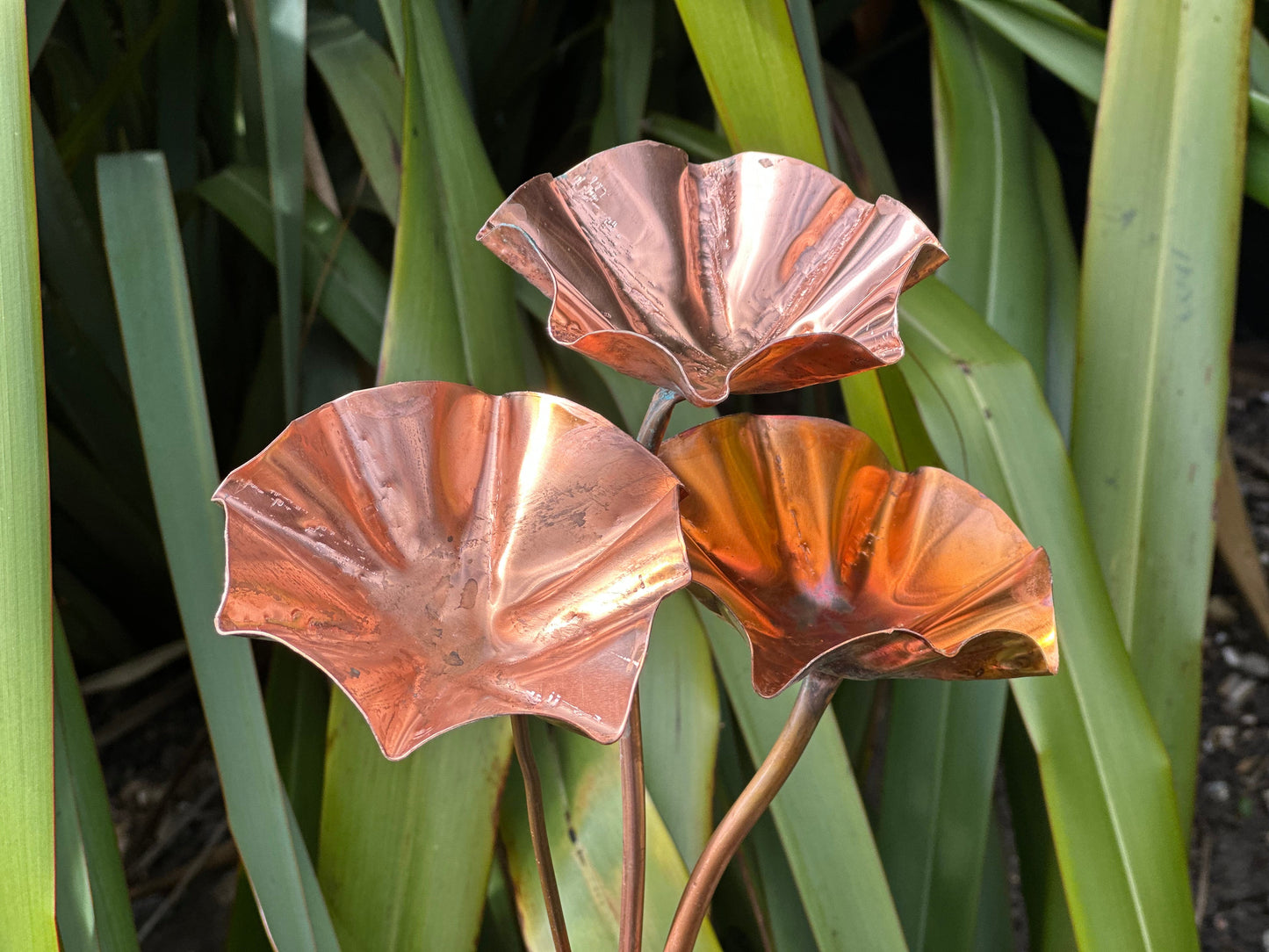 3 x Copper Bee Drinker Bundle